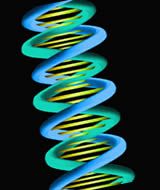 DNA Strand